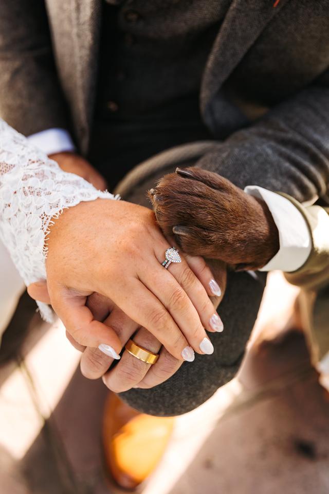 Shannon Parker Photography - 2