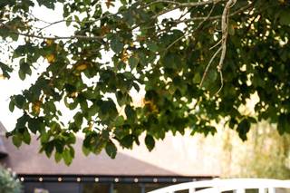 Shannon Parker Photography - 7