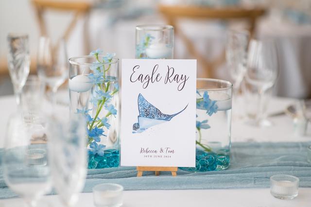 Hollie-May Weddings - 4