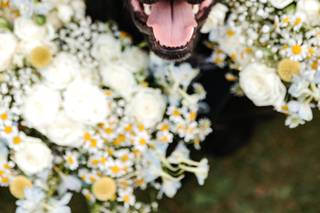 Woofs and Weddings - 6