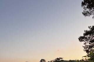 Wedding Player One Ltd - 6