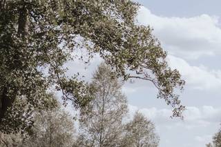 Charlotte Wotton Photography - 7