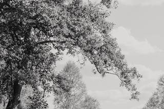 Easton Grange - 10