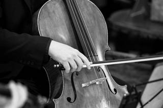 Unity String Quartet - 4