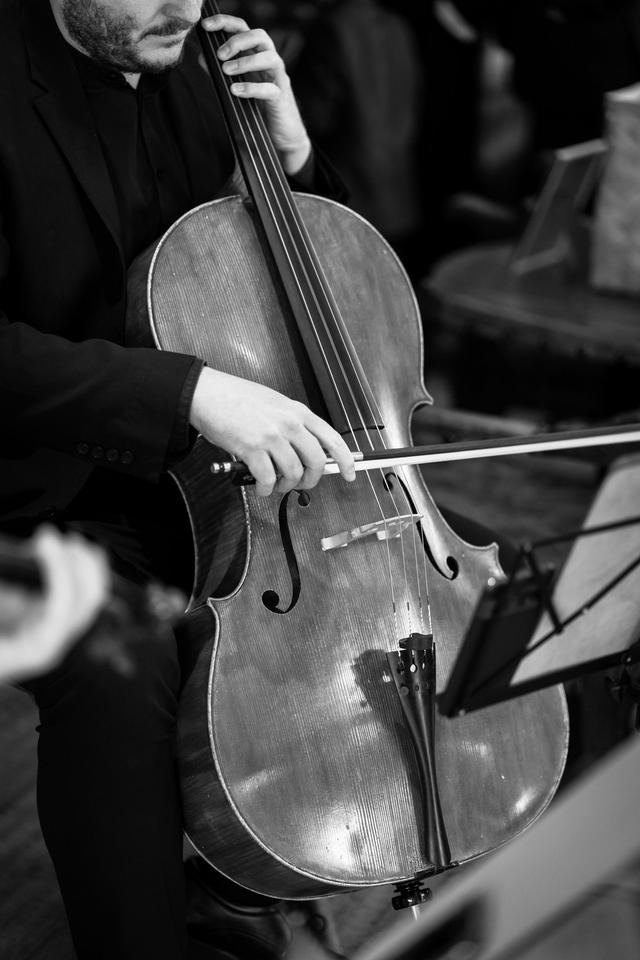 Unity String Quartet - 3