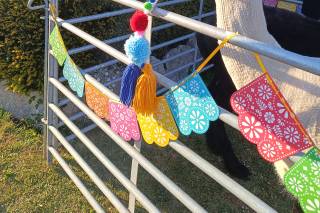 Netherwood Hotel and Spa - 6