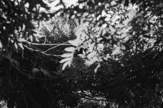 The Gardens - 9