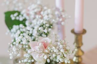 The Garden of Weedon - 5
