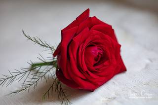 Beautiful Blooms - 16