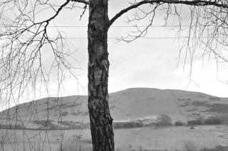 Low Hall The Lakes - 5