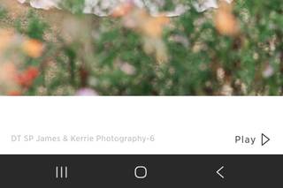 Bluebelle Flowers - 5