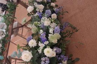 Bluebelle Flowers - 6