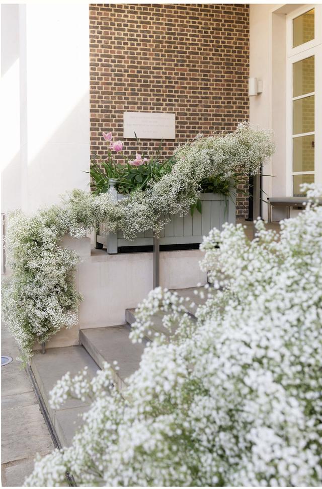Blomme London - 3