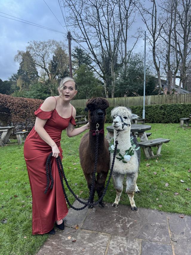 Viva la Vintage Singer - 4