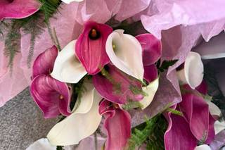 Petal Perfections - 6