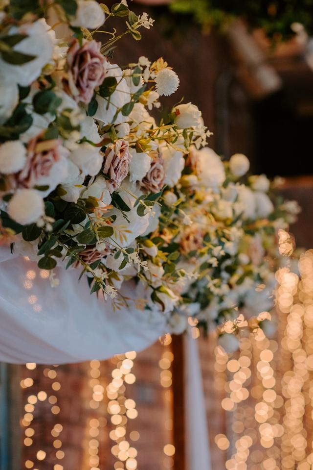 Jayne Moyle Photography - 2