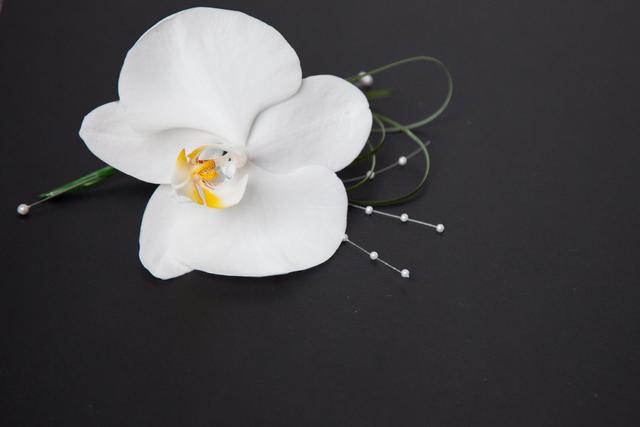 Flowers by Helen Elizabeth - 1