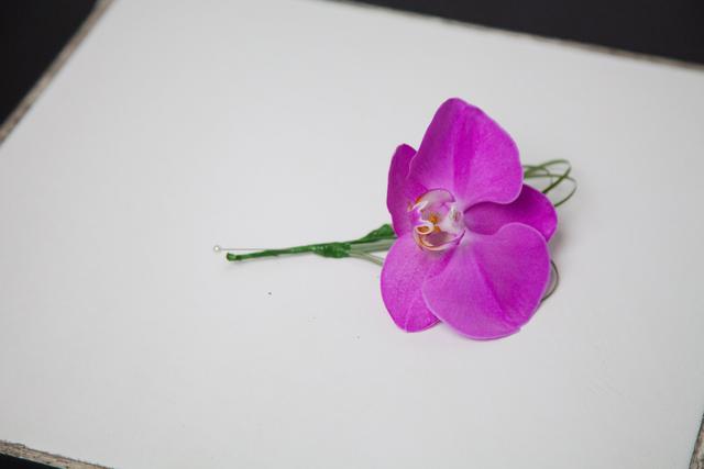 Flowers by Helen Elizabeth - 4