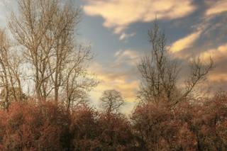 Tickton Grange Hotel & Restaurant - 5