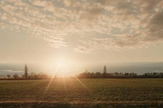 Tickton Grange Hotel & Restaurant - 6