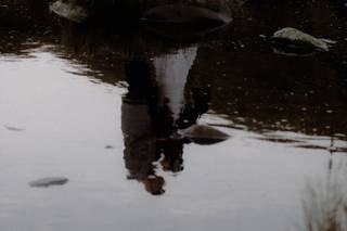 Raini Rowell Photography - 7