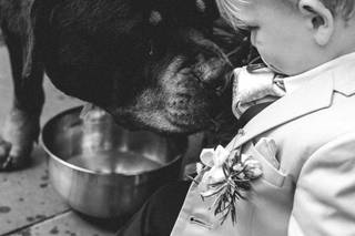 Mollie McAusland Photography - 7