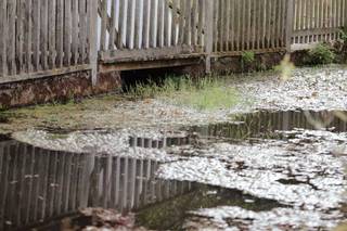 kayleigh scott photography - 4