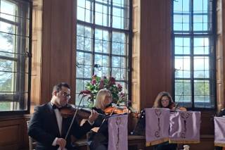Vitula String Quartet - 6