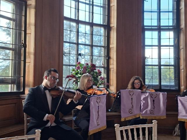 Vitula String Quartet - 3