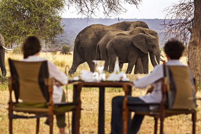 amara safari | Luxury African Safaris - 1