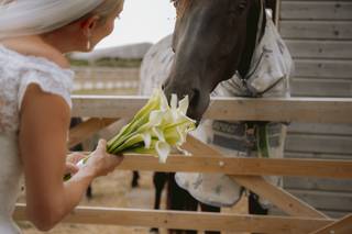 Green Lily Events - 8