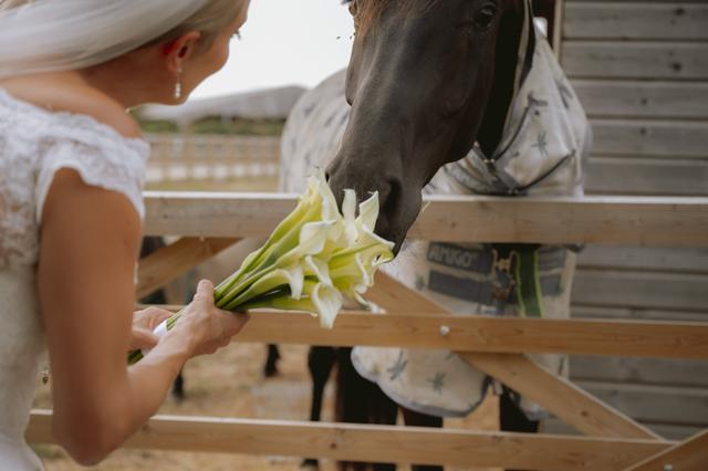 Green Lily Events - 1