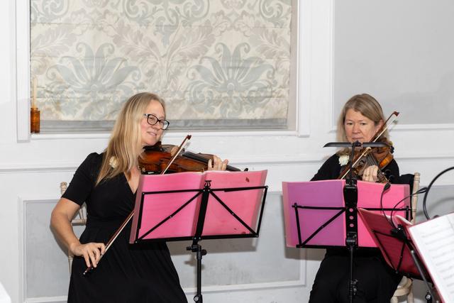 Bowfiddle Strings - 1