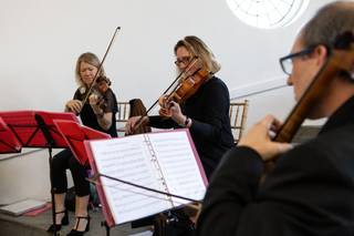 Bowfiddle Strings - 6