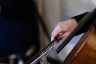 Bowfiddle Strings - 7