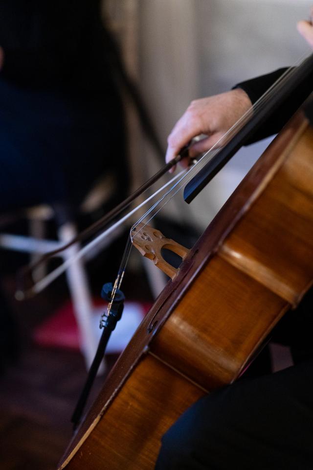 Bowfiddle Strings - 2