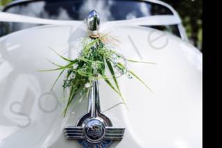 Kippford Classic Car Hire - 6