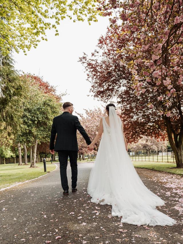 White Fox Photography - 2