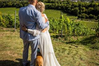 Denbies Wine Estate - 12