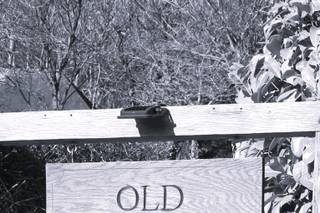 Selden Barns - 9