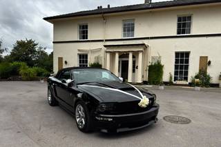 Shabang Car Hire - 16
