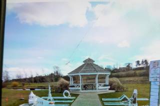 Crazy weds golf hire - 7