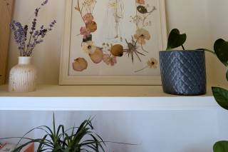 Giny Illustration - 6