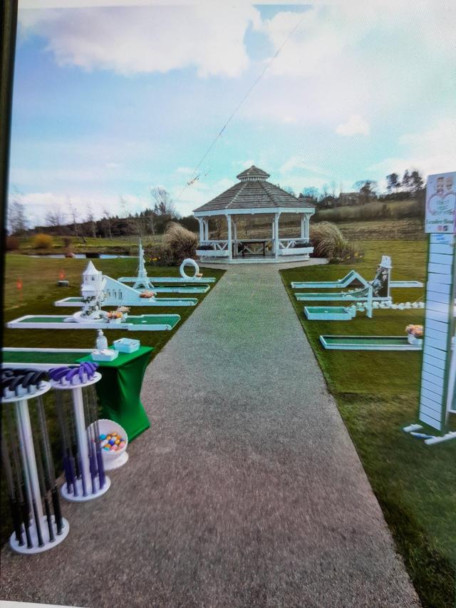 Crazy weds golf hire - 3