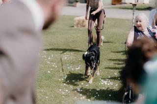 Hounds of Honour - 8
