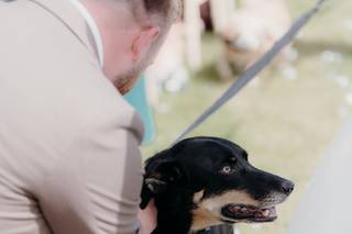Hounds of Honour - 10