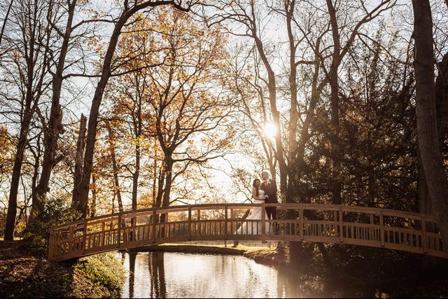 John Payton Photography - 4