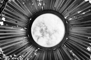 Fron Farm Yurt Retreat - 9