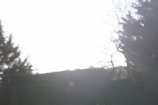 Pangdean Old Barn - 7