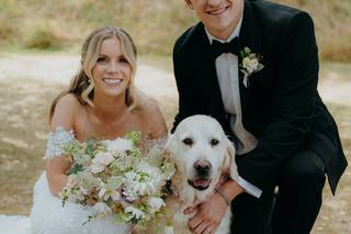 Short Legs Dog Care - 8